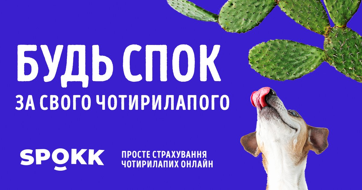 Дотепна реклама для серйозного продукту: Doris Advertising для SPOKK — сервісу страхування чотирилапих